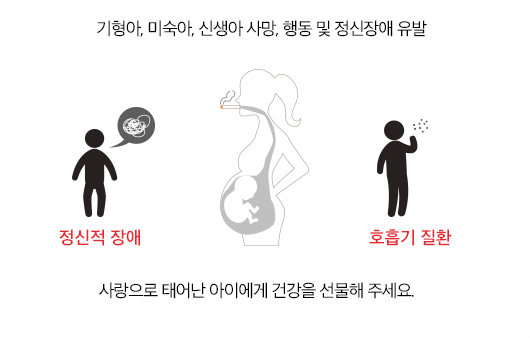 임신중 흡연